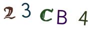 Bild-CAPTCHA