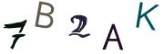 Bild-CAPTCHA