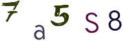 Bild-CAPTCHA