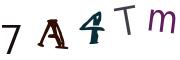 Bild-CAPTCHA