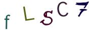 Bild-CAPTCHA