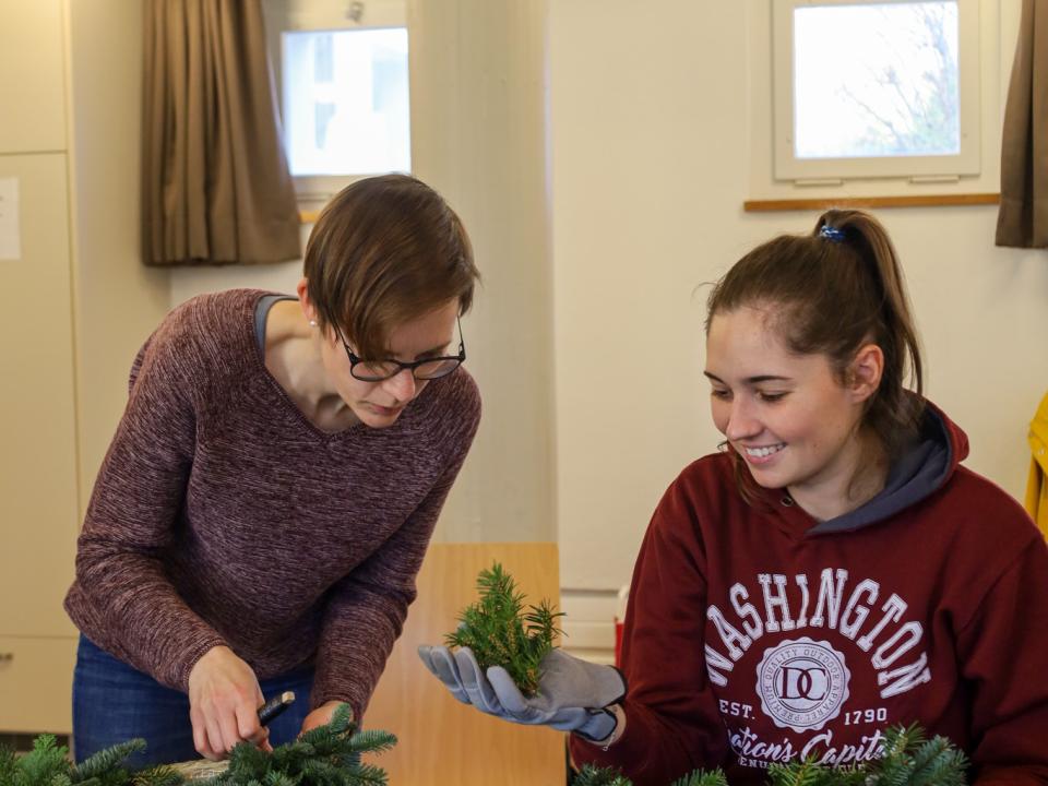 Adventsdeko - junge Erwachsene 2025