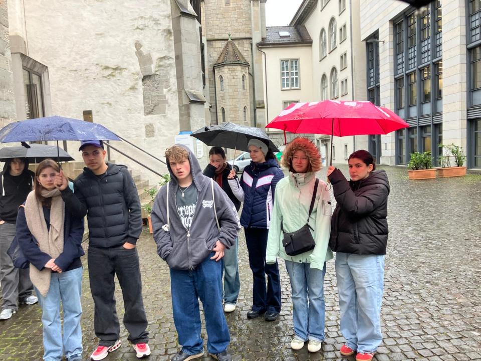 Verein surprise 2026