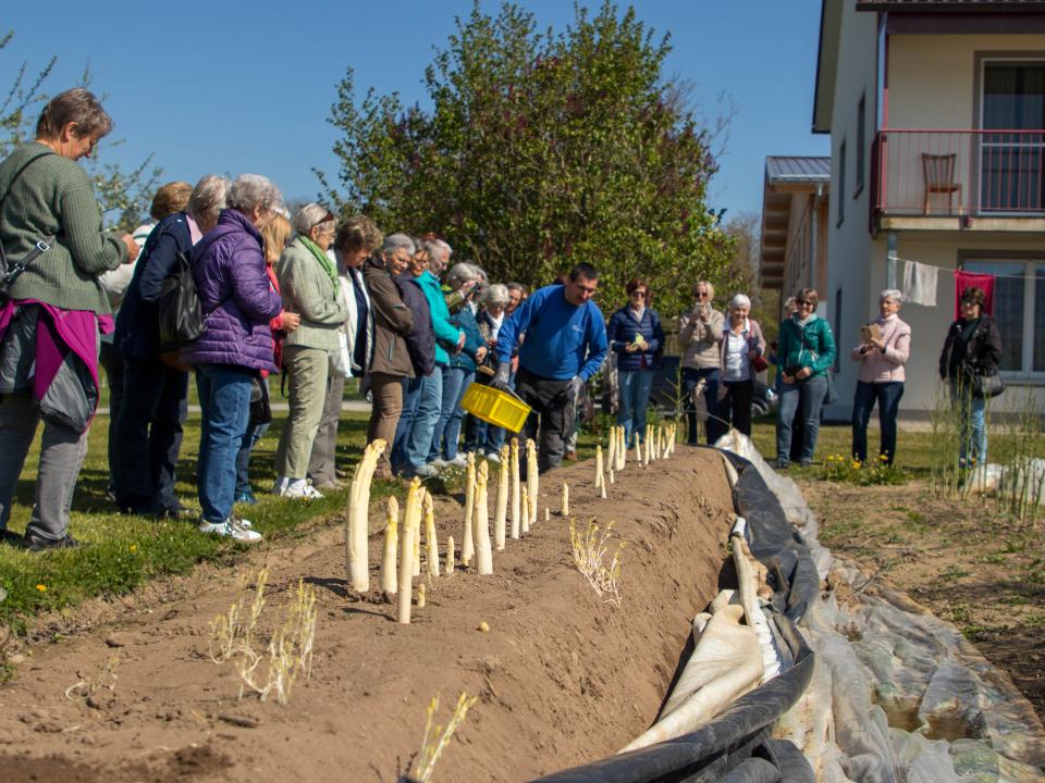 Besuch Spargelhof Flaach 2025