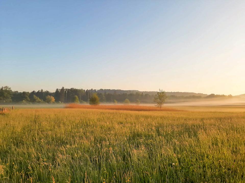 Führung Allmend