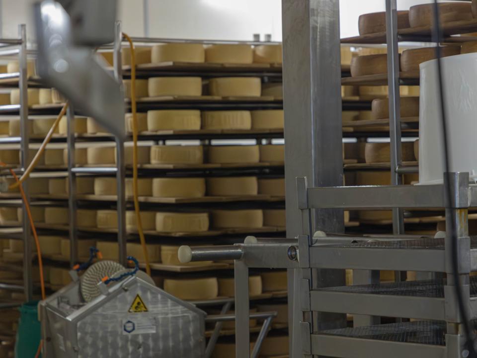 Besichtigung Holzhof