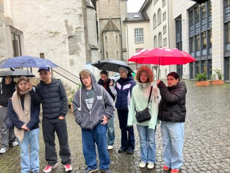 Verein surprise 2026